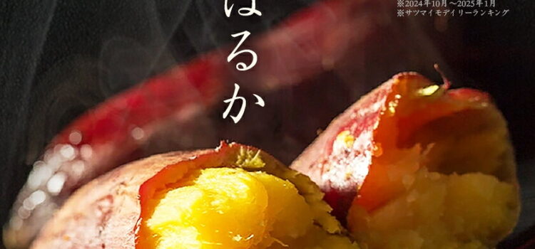 さつまいも 紅はるか 2kg 5kg 10kg 送料無料 熟成 さつま芋 訳あり じゃない サツマイモ 箱買い 大量 お買い得 詰め合わせ 国産 都城市 べにはるか 土付き ギフト 生芋 16週連続1位【※2L~Mサイズのみ11月以降お届けの先行受付】|価格・送料・ポイント還元まとめ|レビュー1275件 さつまいも 紅はるか 2kg 5kg 10kg 送料無料 熟成 さつま芋 訳あり じゃない サツマイモ 箱買い 大量 お買い得 詰め合わせ 国産 都城市 べにはるか 土付き ギフト 生芋 16週連続1位【※2L~Mサイズのみ11月以降お届けの先行受付】|価格・送料・ポイント還元まとめ|レビュー1275件